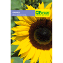 Girasol de flor gigante 4 Grs